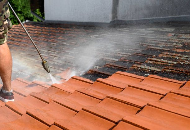 Best Roof Pressure Washing  in Pelzer, SC